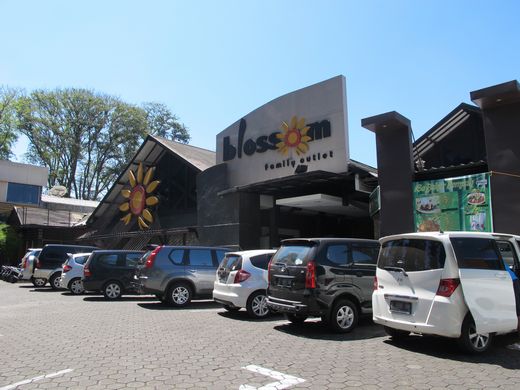 Blossom Factory Outlet